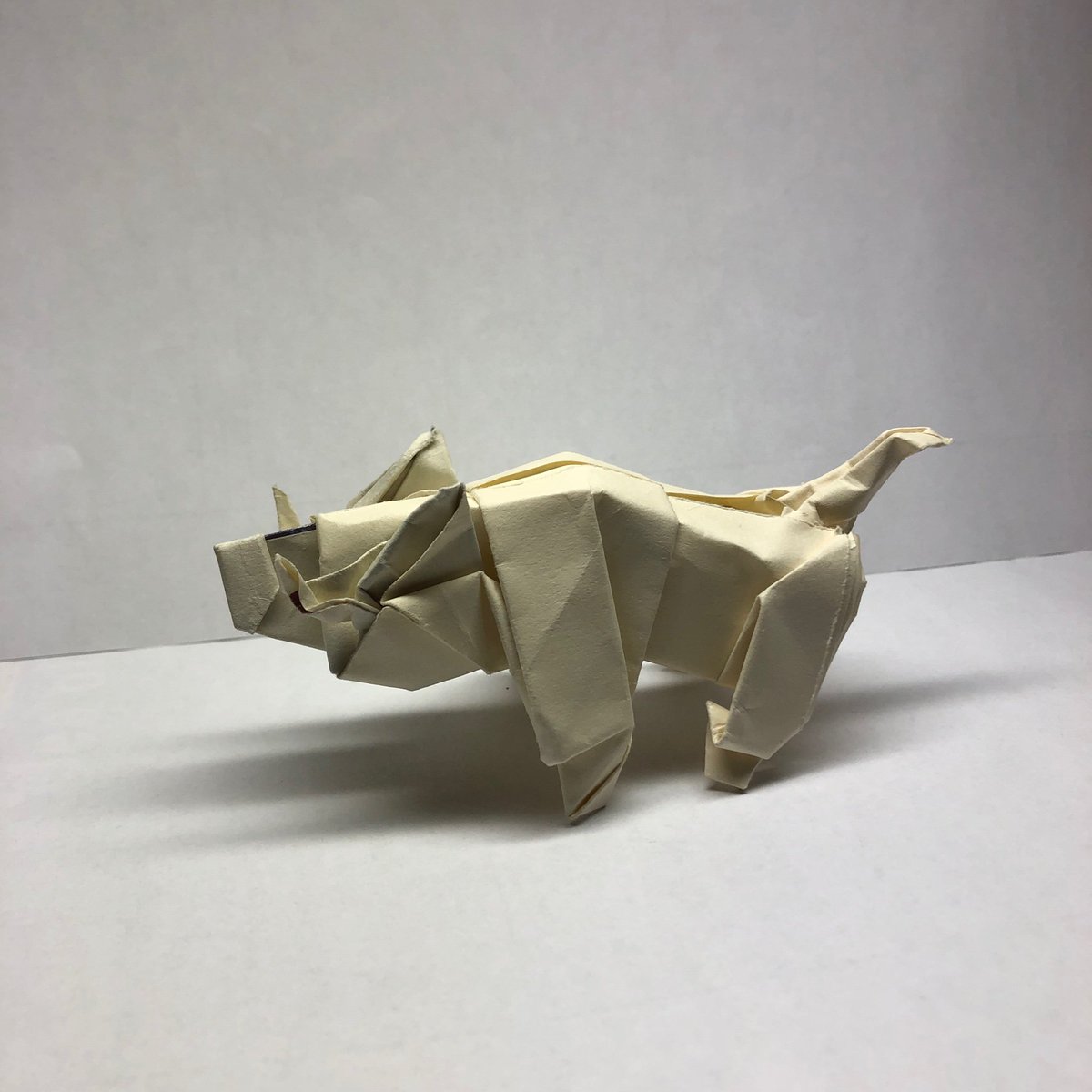 Origamiboar Hashtag On Twitter