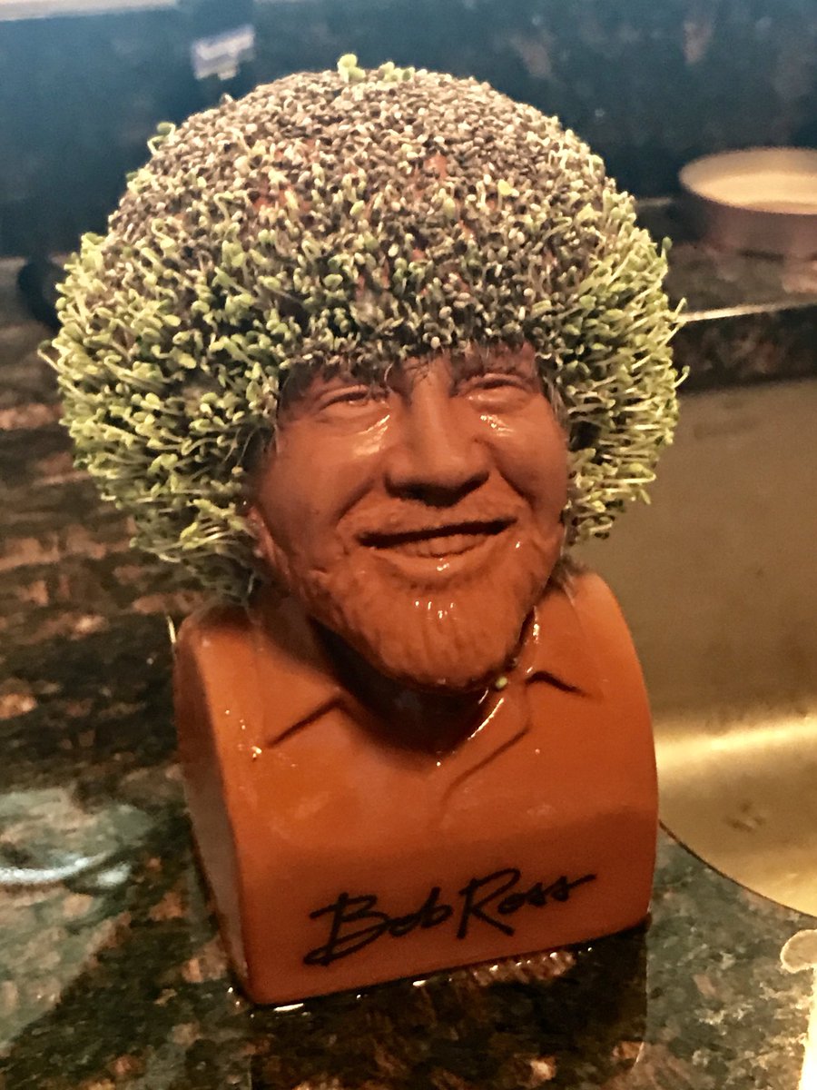 Chris Suchan on X: Bob Ross Chia Pet update. Hair is getting long. May get  his first haircut soon #bobross  / X