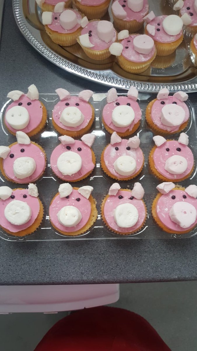 A big thank you to our lovely cook Kassy for helping us celebtate Chinese New Year by cooking us our yummy dinner today...🥗🥡🥠 stir fry, noodles and a fantastic 'piggy cupcakes'🐷 as it is 'Year of the pig'
We also had Chinese lettuce, prawn crackers and spring rolls.