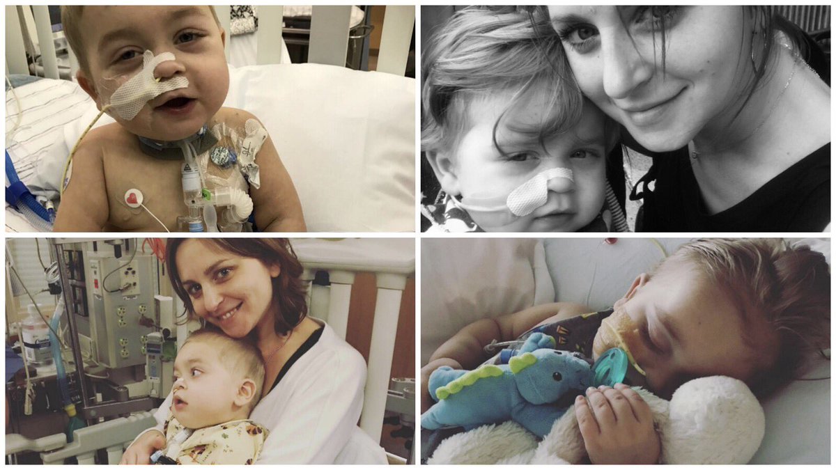 Organize tweet media