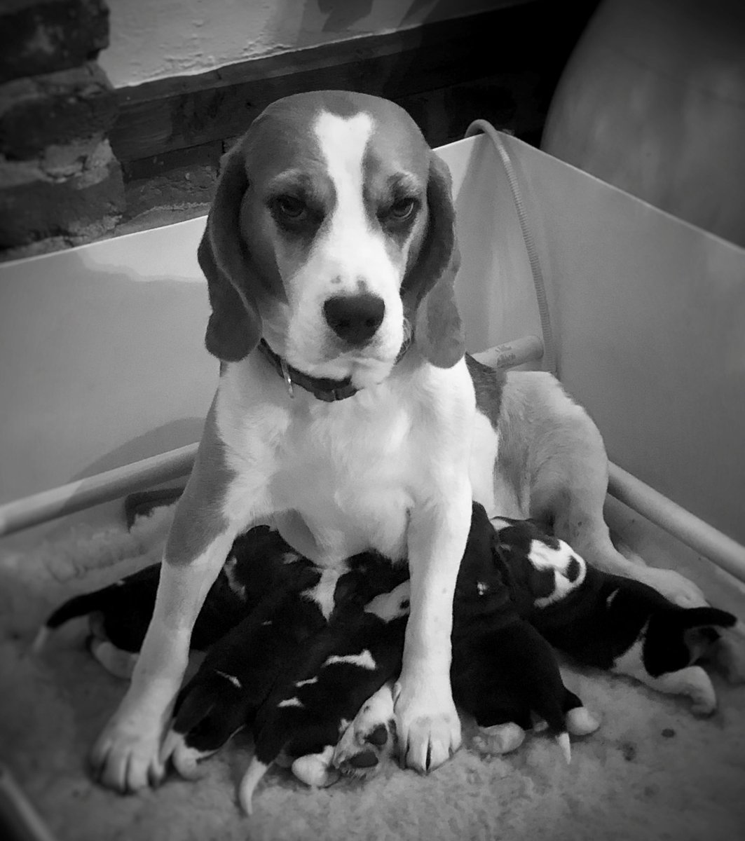 Looks like they are stuck for the time being.