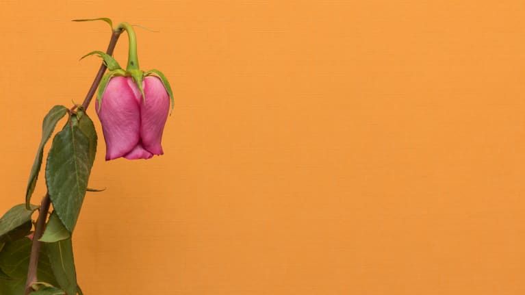 SHRM HR News tweet media