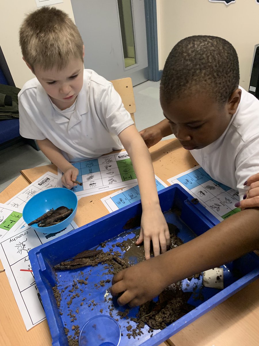 The Harbour tweet media