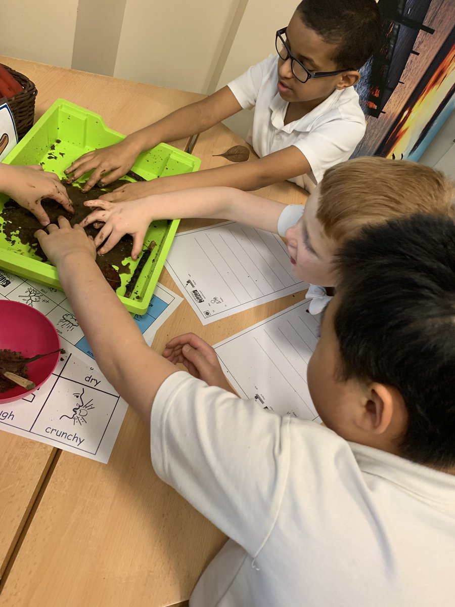 The Harbour tweet media