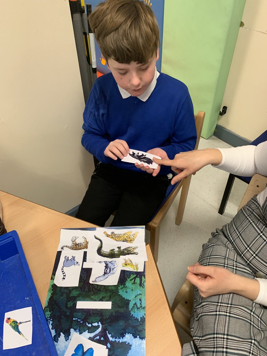 The Harbour tweet media