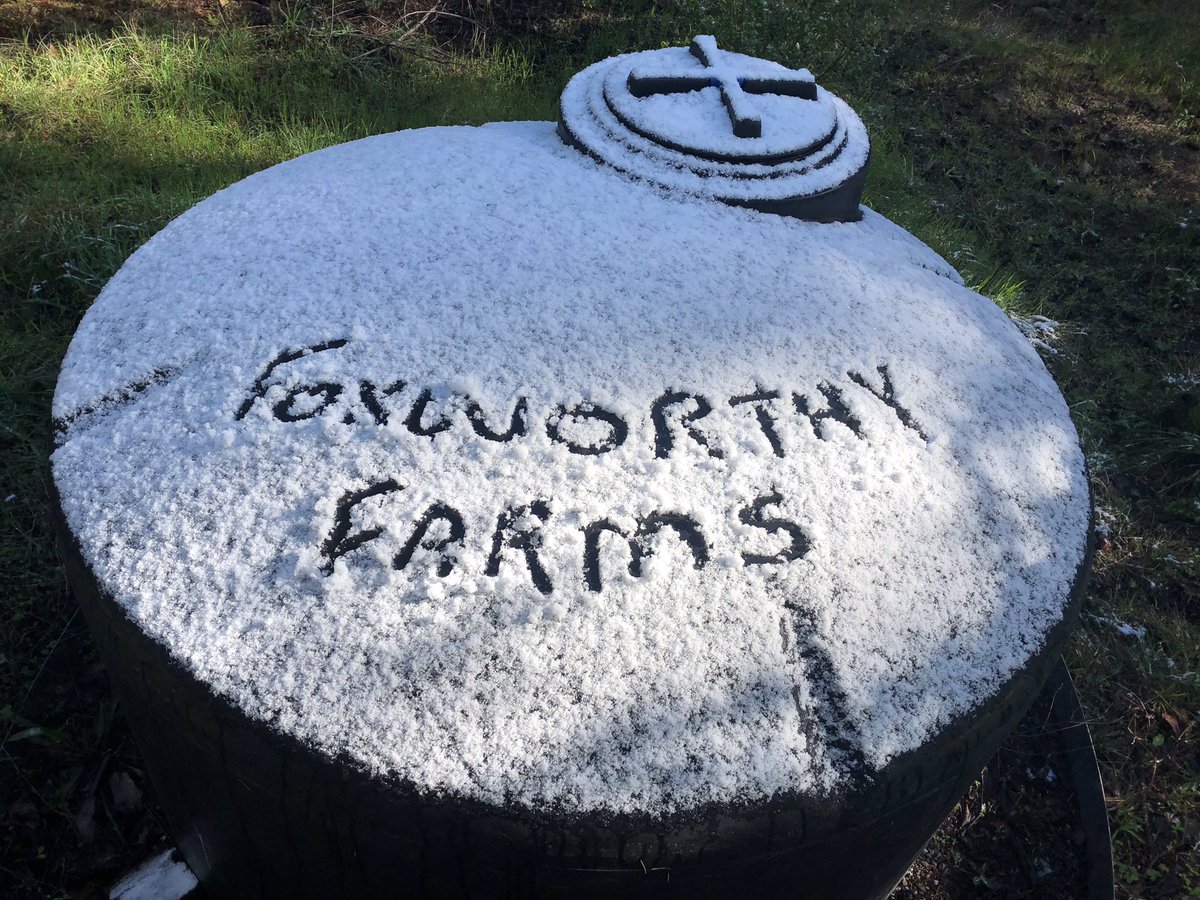 FoxworthyFarms's tweet photo. It snowed at Foxworthy Farms!!  Heated floors and supplemental HPS keep our greenhouses cozy through the winter.

#sonoma #sonomasnow #sonomacannabis #californiacannabis #greenhouse #cannabisculture https://t.co/bf7YWXBiLO