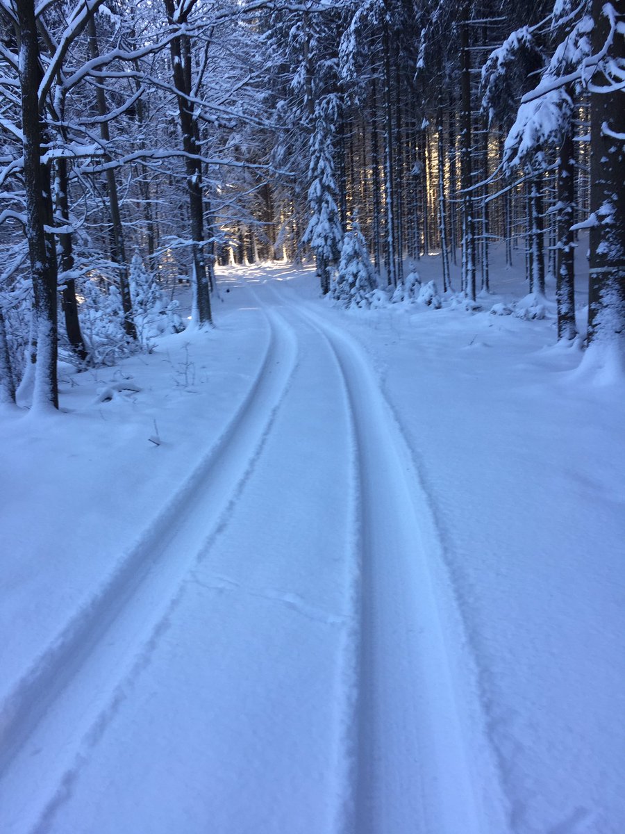 wdowy's tweet photo. @GoGeocaching #geocaching in #Czechia https://t.co/Z8TSWZzLDG