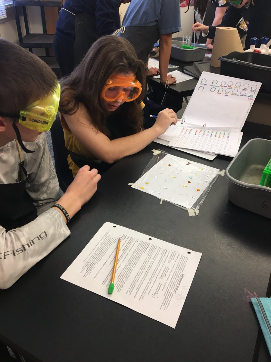 atkinswestchem's tweet image. Day 2 of our first lab! Now trying to match up observations from day 1 and day 2 to determine the identities of 8 solutions. 🕵️‍♂️ @WSFCS_Science #WeDoScienceWell #ExpModelDemo