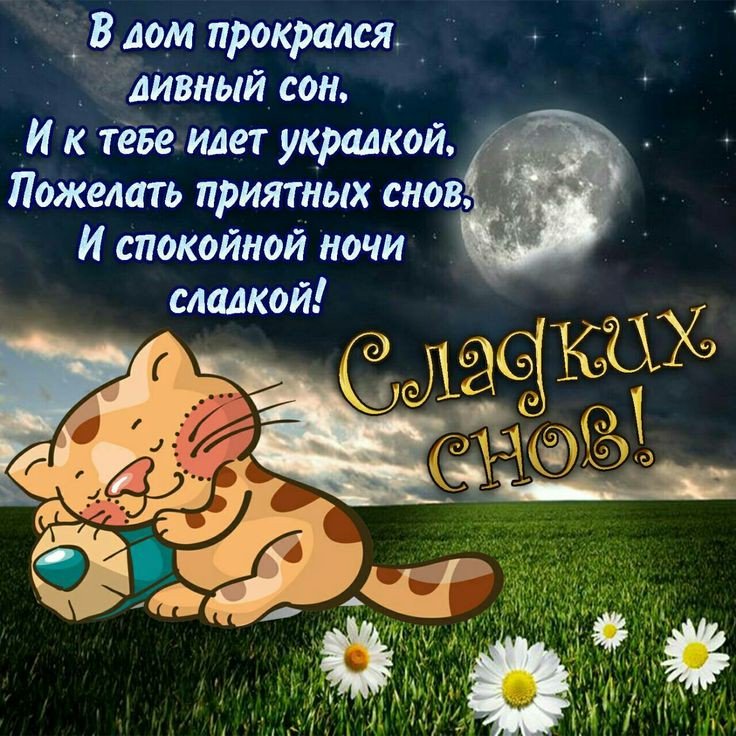 Днем, открытки спокойной ночи для жены