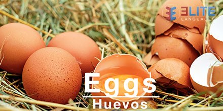 LearnWithELITE's tweet image. Cuéntanos, “¿Cuál es tu desayuno favorito?” #LearnWithELITE #AprendeConELITE 

#aprendeingles #centrodeidiomas #aprenderingles #institutodeingles #aprendaingles #learnenglish #englishisfun #clasesdeingles #cursosdeingles #Bogota #colombia #breakfast #desayuno #bilingual #ingles