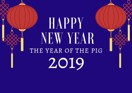 Tempify_co's tweet image. Happy Lunar New Year!