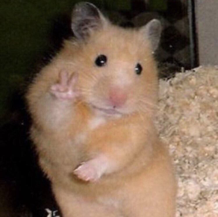 when i’m having a mental breakdown and pass by a mirror