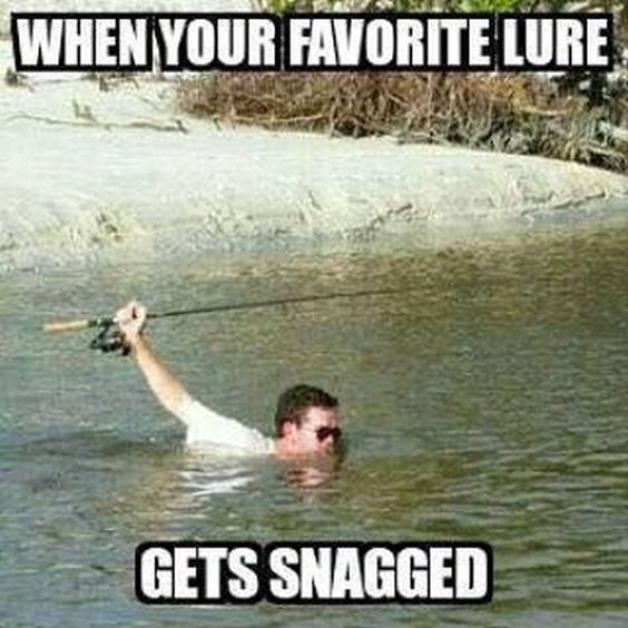 FIsmyheart's tweet photo. funny fishing memes

#fishing #fishinglife #fishingrod #fishingtrip #fishingboat #milf #bassfishing #flyfishing #fishinggirls #fishingpole #ilovefishing  #fishinggear  #fishingeveryday https://t.co/xLtZuV5eQZ