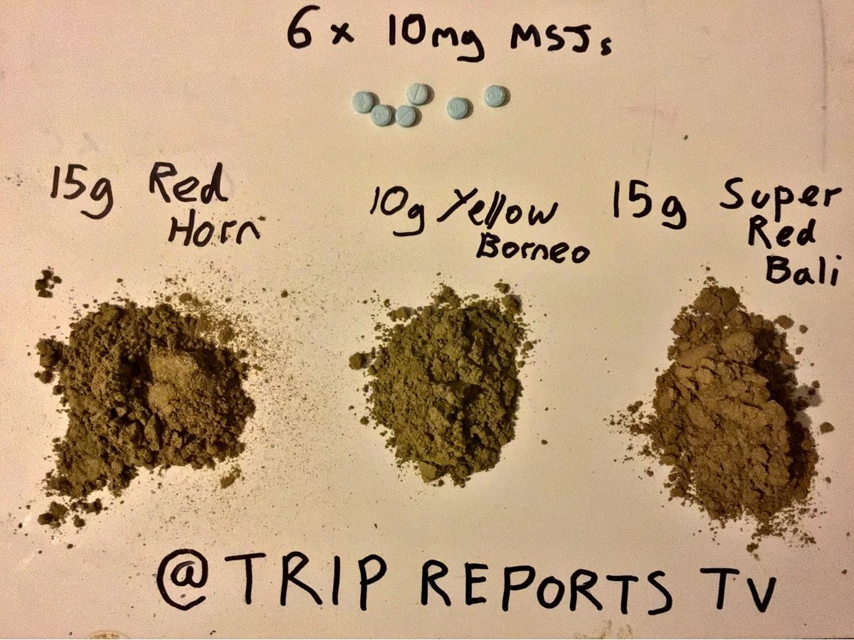 Trip Reports tweet media