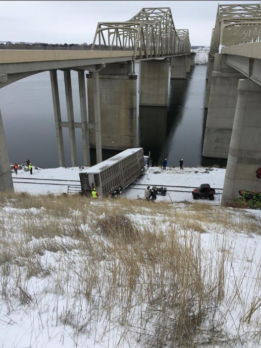 TheDailyCowman's tweet photo. This Canadian fat cattle hauler was about to cross the bridge to the right in the first photo

a car pulled out in front of him with icy roads

he hit the median and went down the steep bank, bounced across RR tracks and almost in to the Snake River

word is all cattle survived https://t.co/uzGFnqdsXv