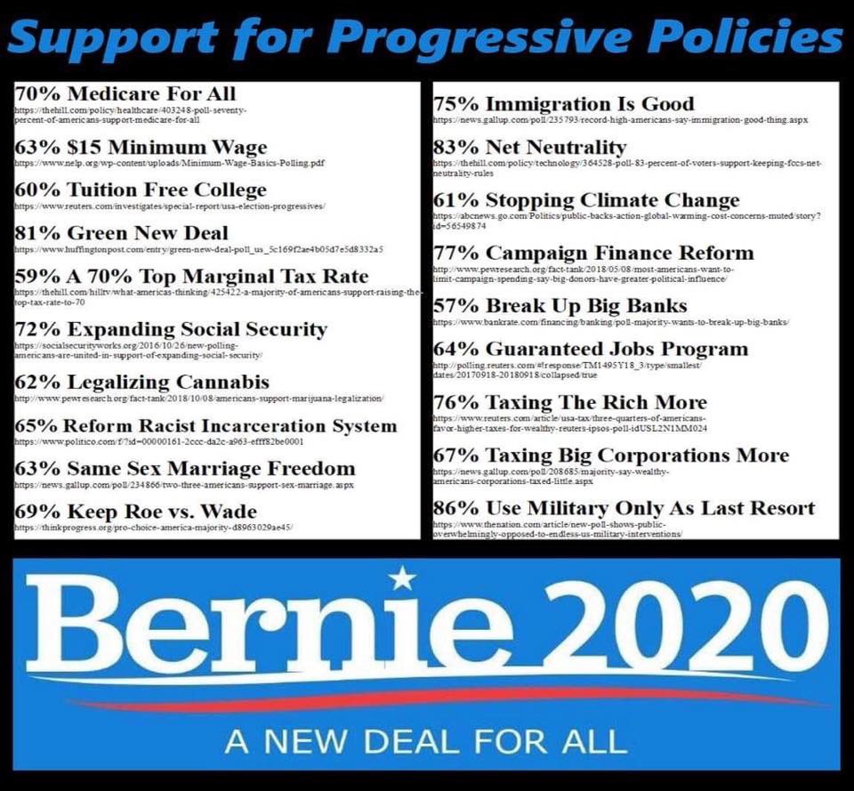 shipman96's tweet image. Unless you support these policies You Are a #FakeProgressive