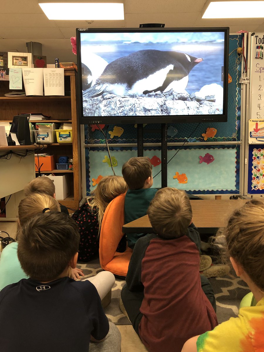 FarrarFirst's tweet photo. Today we packed our suitcases and went on a virtual field trip to Antarctica. Ss observed penguins in their natural habitat. These first grade scientists can’t wait to dive into the world of penguins!#TCSPublic #farrarfrogs @edens_debbie @courtneynholt1 @AmberGluch @rlferguson76 https://t.co/bSxvdlW0ma