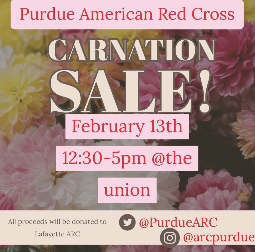 Buy your boo a Carnation for Valentines Day 💕