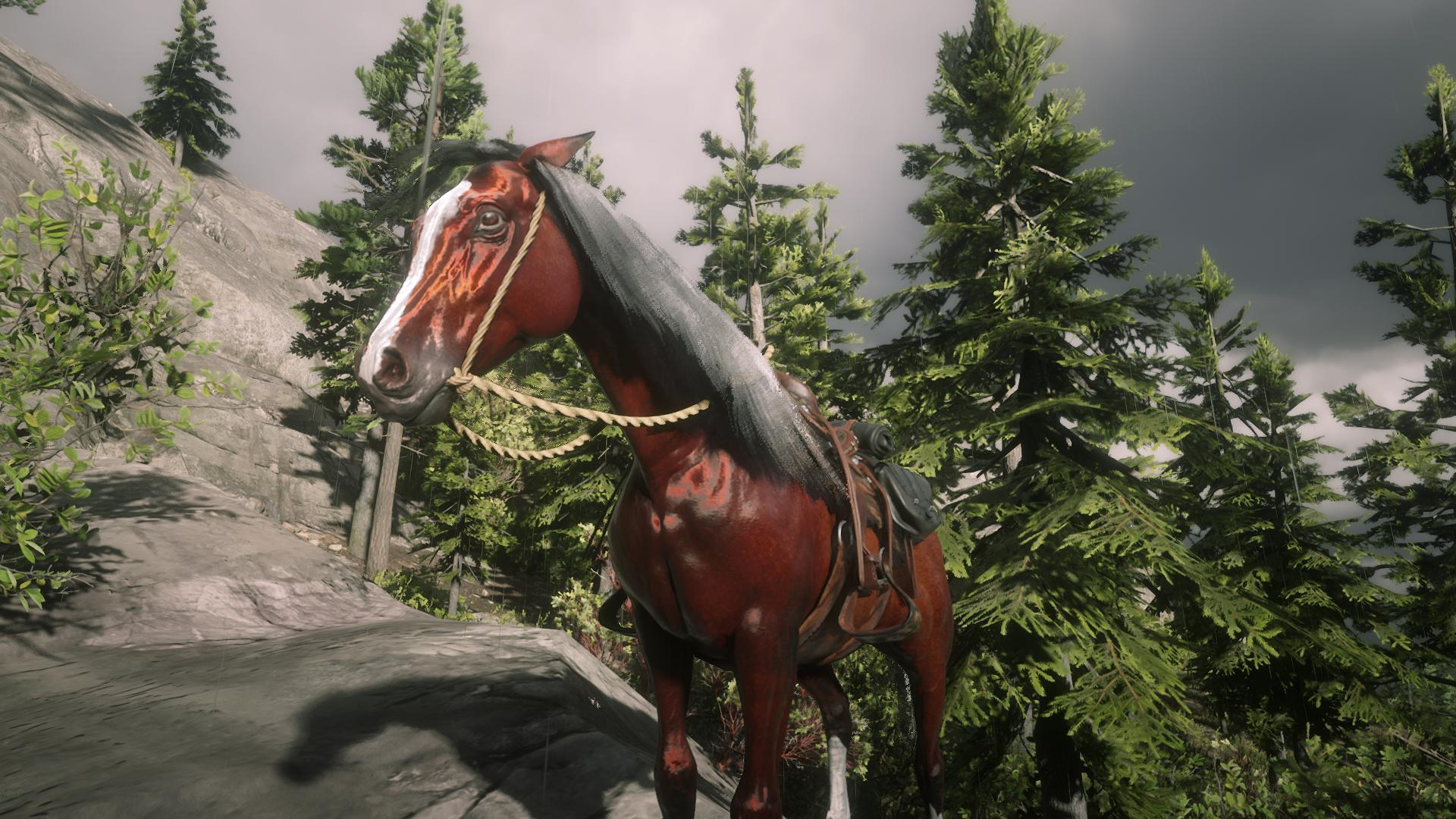 DyrAzUyXQAE1UZi.jpg:orig