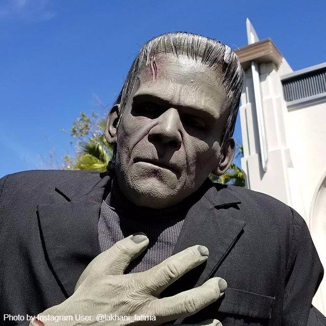 Universal Studios Hollywood tweet media