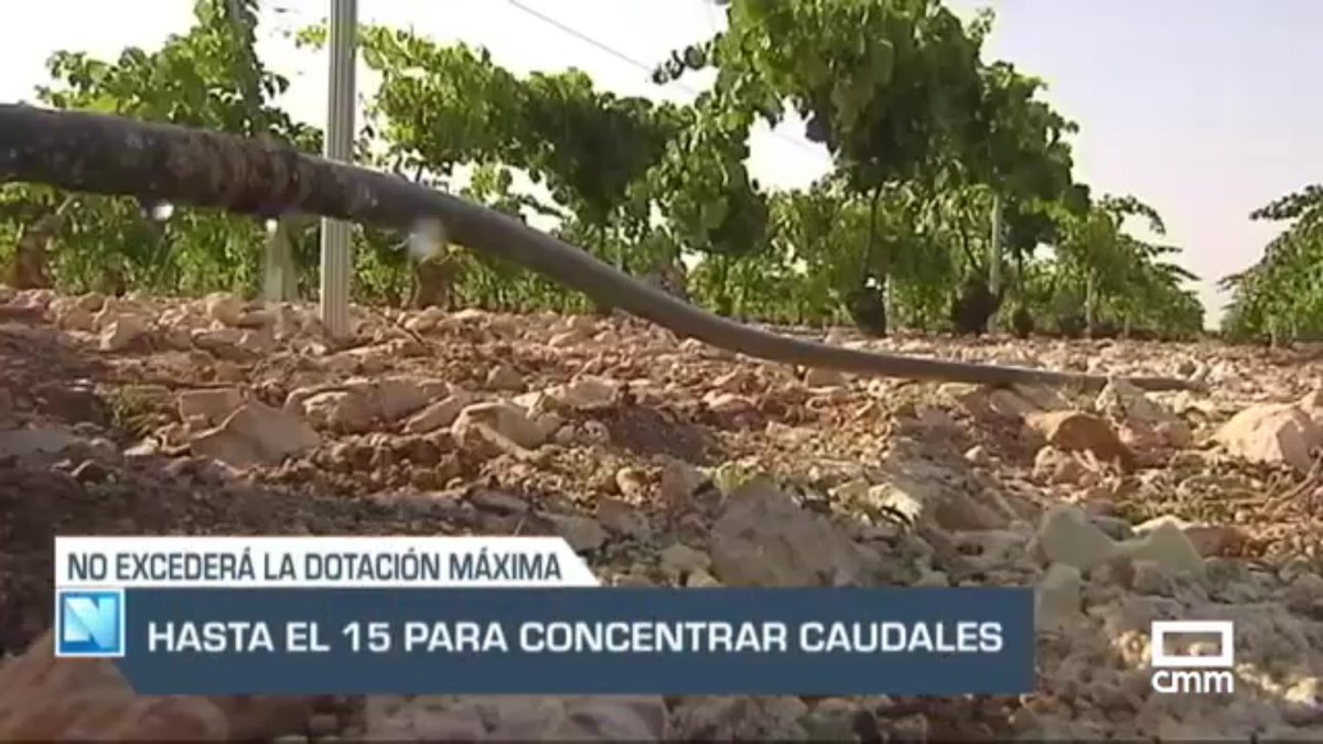 elcampoCMM's tweet photo. Agricultura #CLM crea un grupo de trabajo para mejorar el control de la #tuberculosis | Primer diagnóstico en la reunión convocada por @PonceIsla con @ASAJACLM @UPACLM @coagclm @asoprovac #AFRICAMA @valentinalmansa #APROCA @UNIPROCA_SPAIN #Berrenda https://t.co/WsDG50pQoz @CMM_es https://t.co/0jejHafHnG