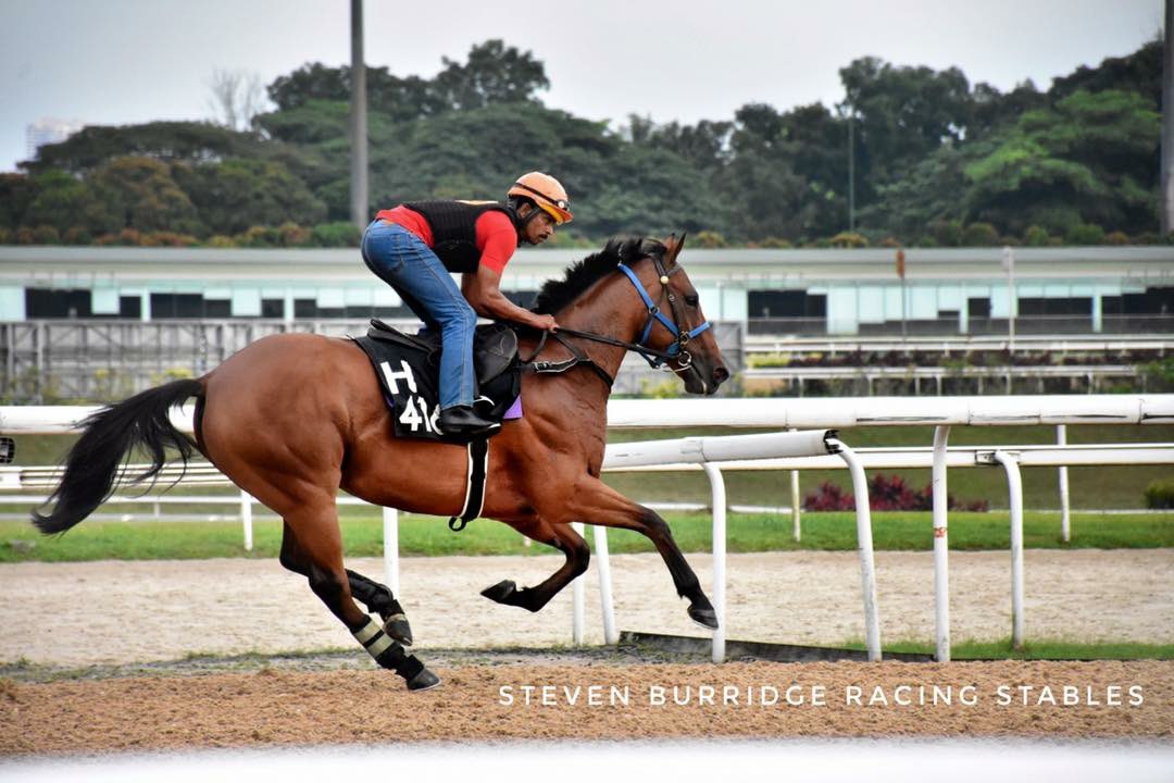 stevenburridge's tweet photo. Salvador debuts this Friday #watchlist #MagicAlbert https://t.co/YOEseij7VM