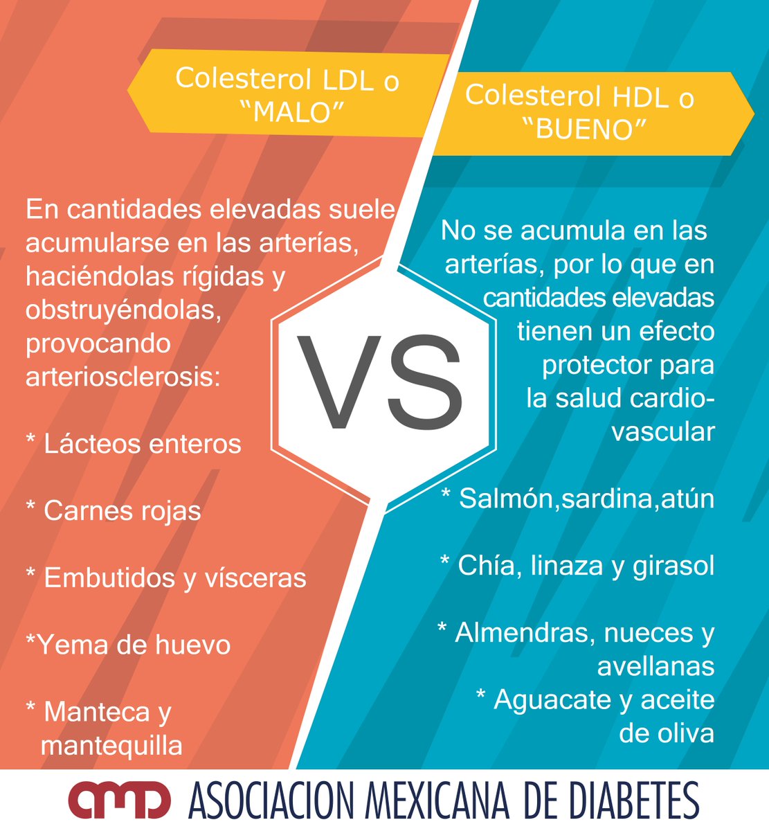 diferencia entre el colesterol hdl y ldl diferencia entre el colesterol hdl y ldl