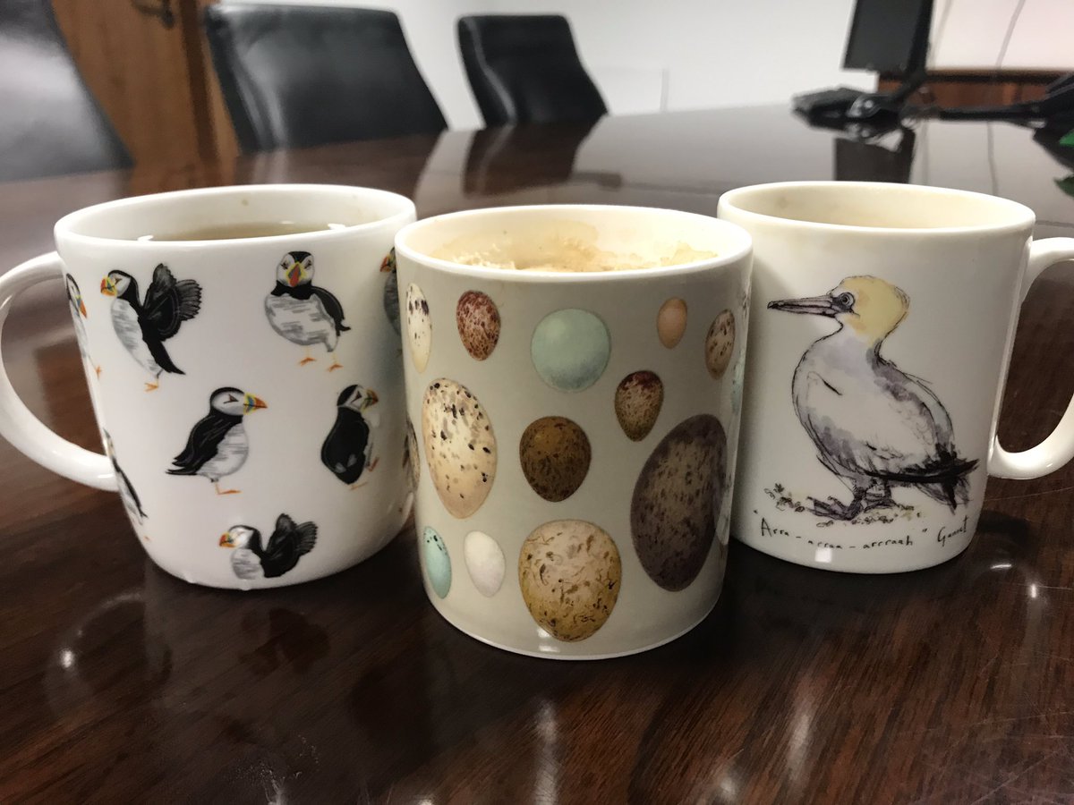 Coffee time at the Marine &amp; Freshwater Research Centre  ☕️ 🦅 🐦 🦢 🥚