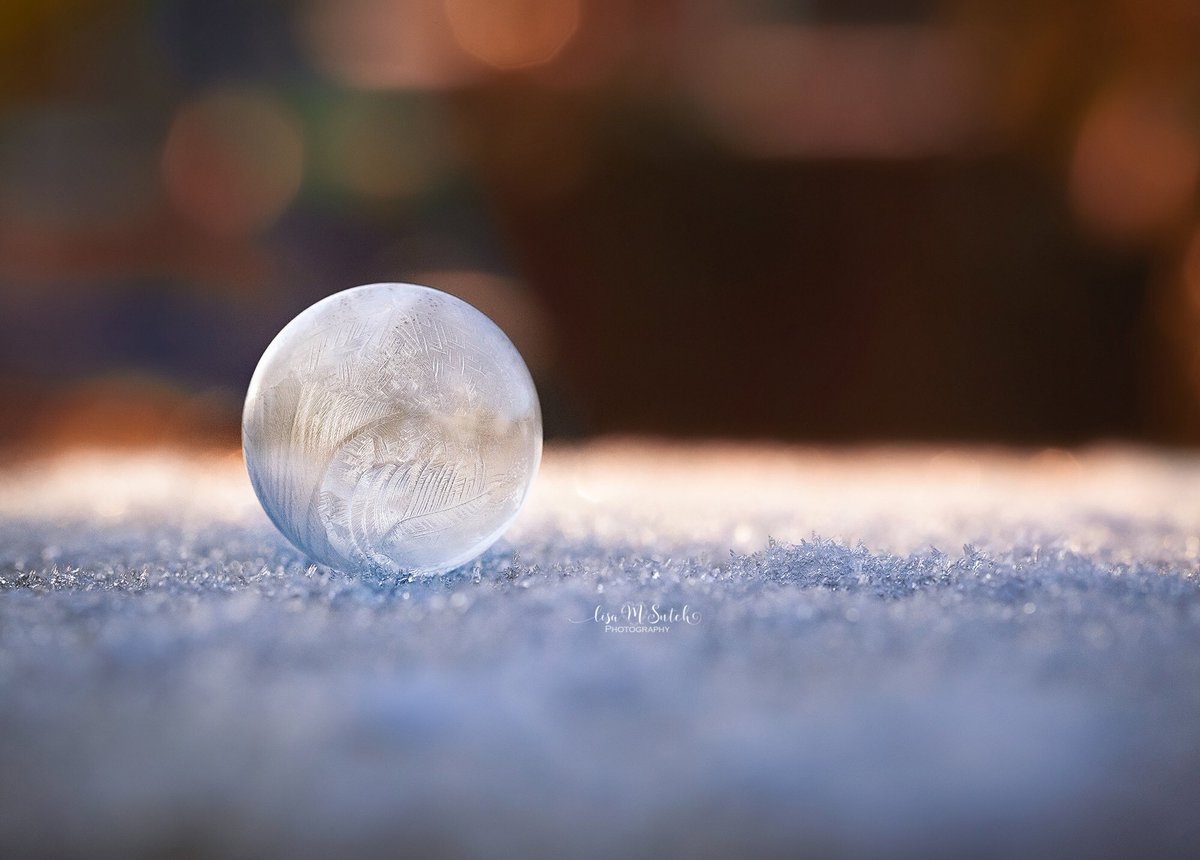 #frozenbubble taken when it was lovely and frosty. Much prefer the cold and frostiness to the mild, grey and wet 😔

#stormhour 
@ChadWeather @M35weather @RainorshineManc