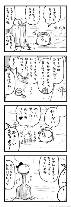 こたえあわせまちゅうら 