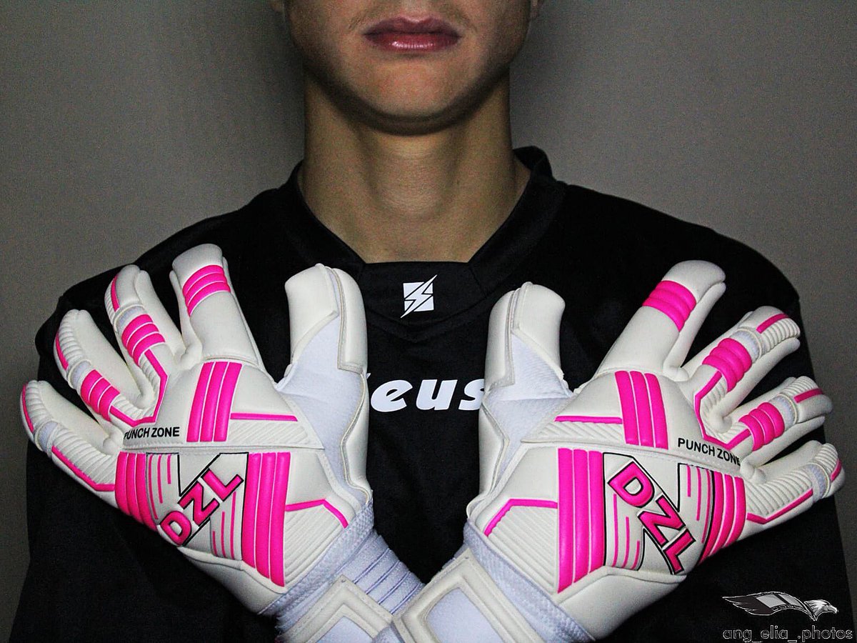 dzl goalkeeper gloves