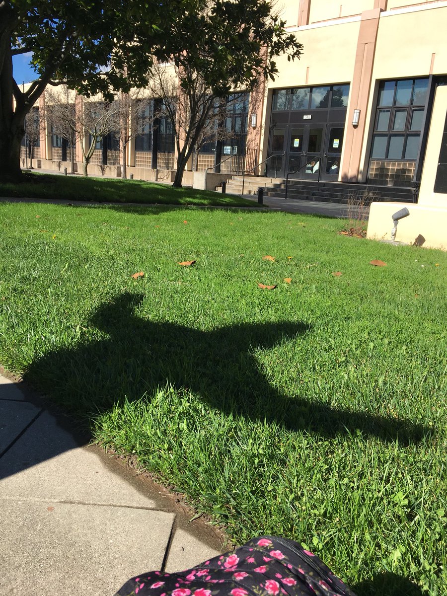 Isalikesbio's tweet image. “It’s funky fresh” - caroline Today I ate lunch outside with @cdivneybio and @MFlikestobio! #APBio3