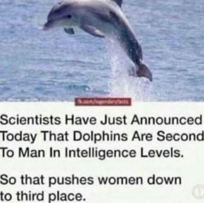 DyrJpVdX4AEoFAJ?format=jpg&name=small