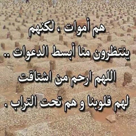 بين أتربة القبور المظلمة .. اجساد نحبها ، نتذكرها فنشتاق لها كثيرا .. ونتمنى عودتها ...

اللهم ارحم وجوهاً بشوشه فقدناها 
وصدوراً رحبه ضاقت بنا الدنيا بعدها
اللهم وسِع قبرهم بنعيم لا يفنّى ...

" يااارب "

 #لاتنسو_موتاكم_من_الدعاء

 #ذكر_الله_دايما_اجمل
#فوق_هام_السحب