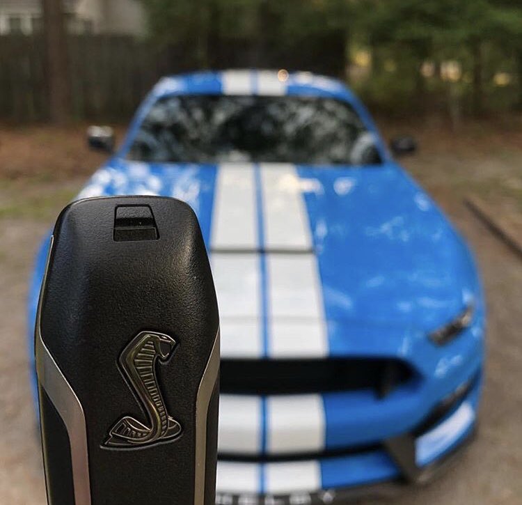 dailymustangs tweet picture
