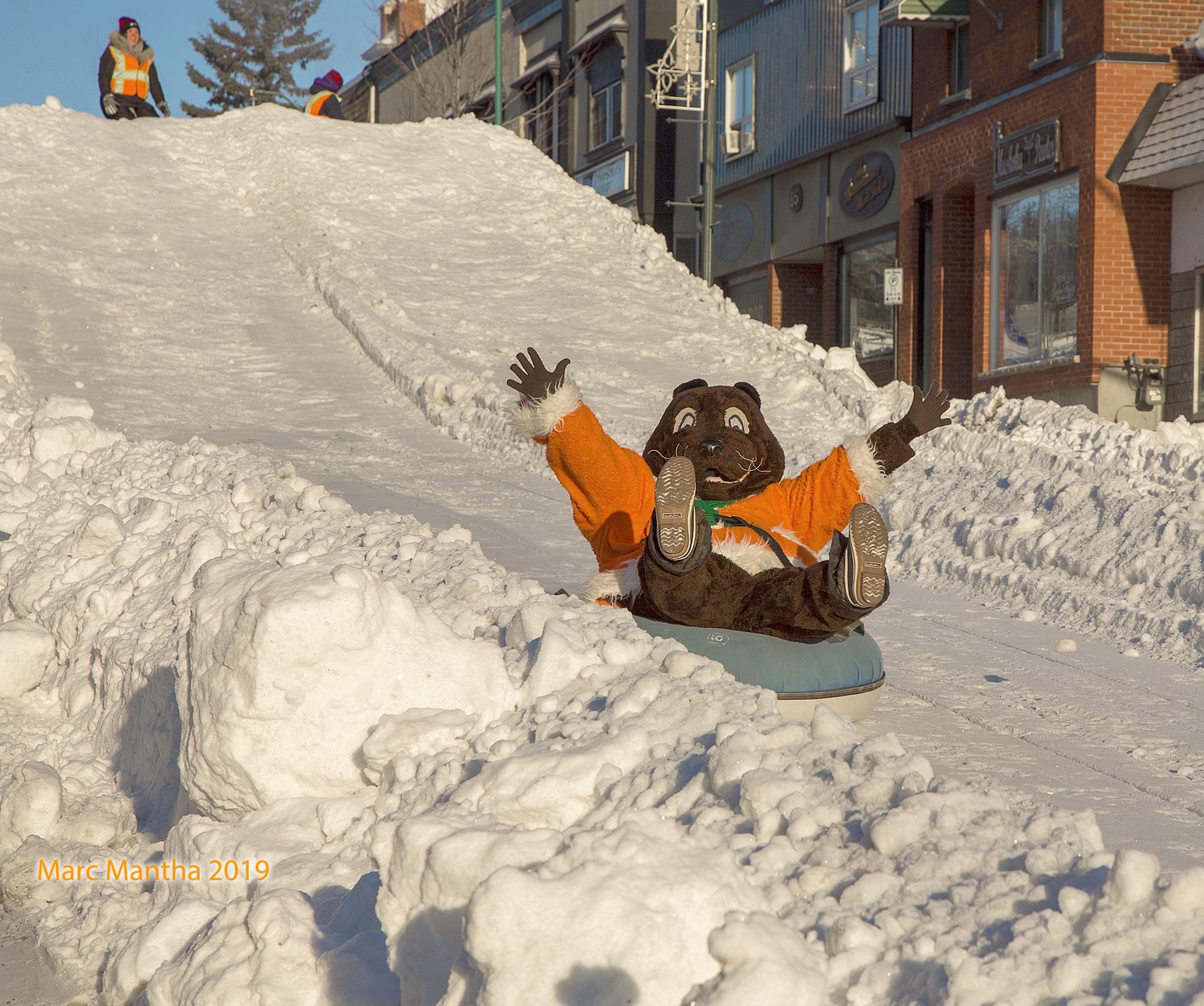 Sandy Cairns on Twitter "Gravenhurst Winter Carnival Mascot “Skokie