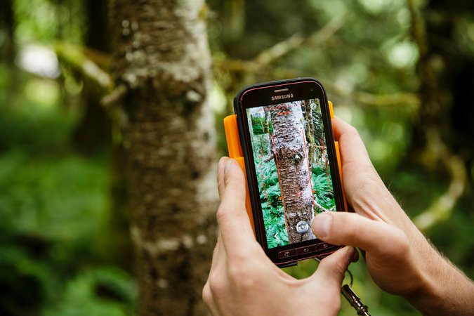 ForstCarbnWrks's tweet photo. We've officially created a twitter for @ForstCarbnWorks Follow us to learn more about our work with small #forest #landowners all over the United States! @ePcarbon 

https://t.co/gStcTxAmHR 

#trees #climatechange #family #forest #technology #tech #smartphones #timber https://t.co/nRUieodoin