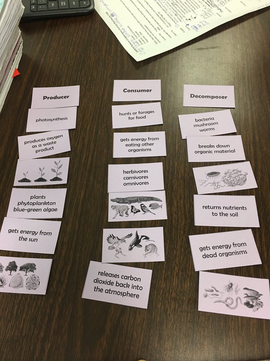 AnaPValenzuela's tweet photo. Great Science Training presented by @DMAC_KC  Many hands on activities to implement with our 5th graders. Loved the writing activity at the end. (Forgot to take pic...) @GrayElemEagles @SADubberke @SerjioMedina @STARS_902 #GrayTScience @scienceal https://t.co/bHmzSB0uom