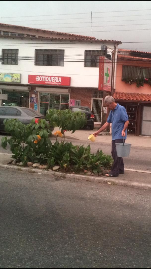 Que bueno sería que todos tuviéramos sentido de pertenencia por nuestra ciudad..Este vecino riega las plantas en la avda Los Próceres( La Milagrosa) mientras otros sacan basura irresponsablemente..#5Feb..#Mérida