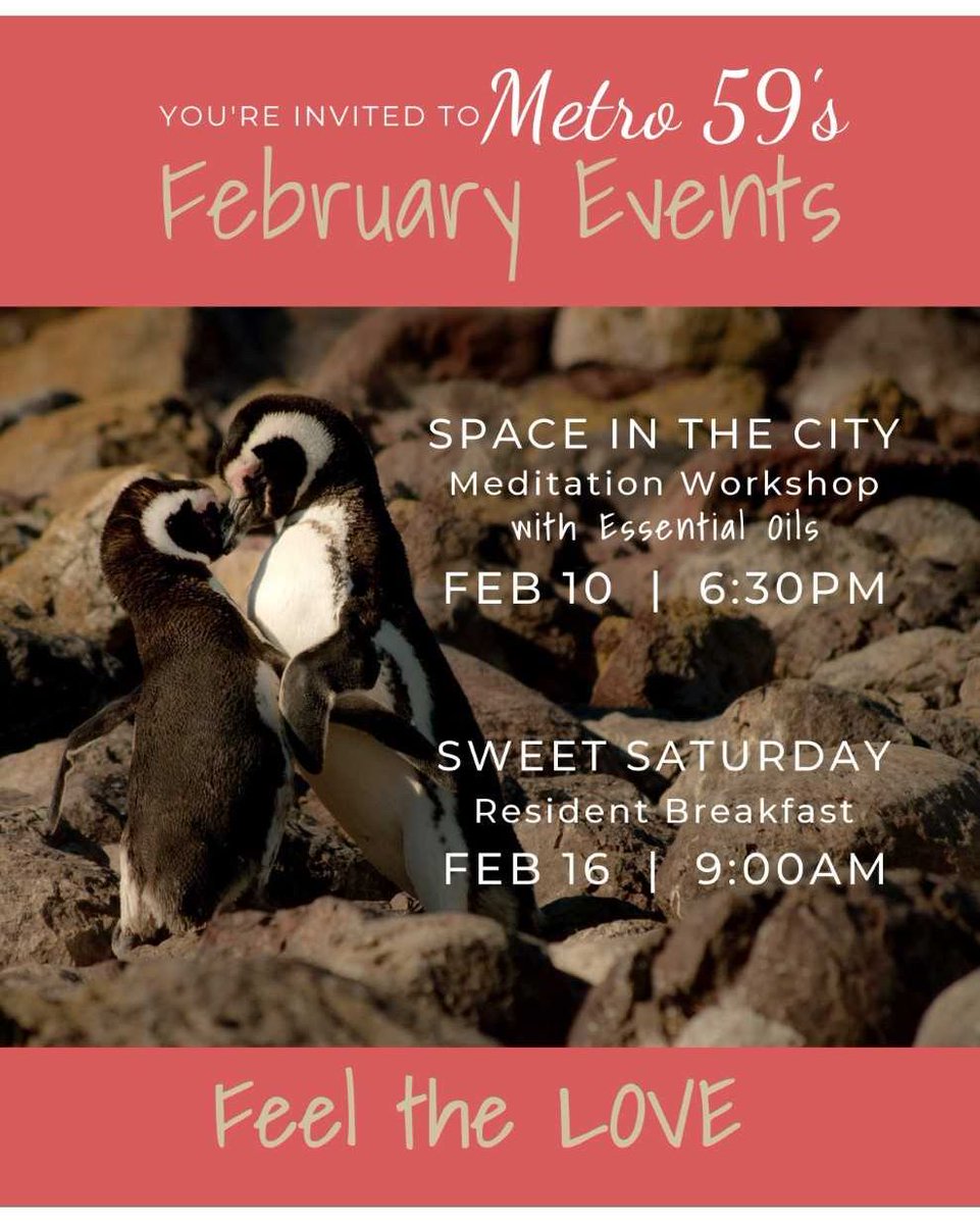 metro59apts's tweet photo. Mark your Calendars for our upcoming February Events! Cant wait to see you there! 
*
*
*
*
#metro59 #lovewhereyoulive #residentevents #meditation #saturdaymorningbreakfast #villagegreen #lifeinthegreen #februaryevents https://t.co/f5hyjxy1Uj