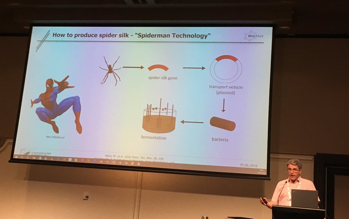 spunky_possum's tweet photo. Go spidey! Superheros and drug delivery #ACIS2019  Thomas Scheibel https://t.co/WxQX60n441