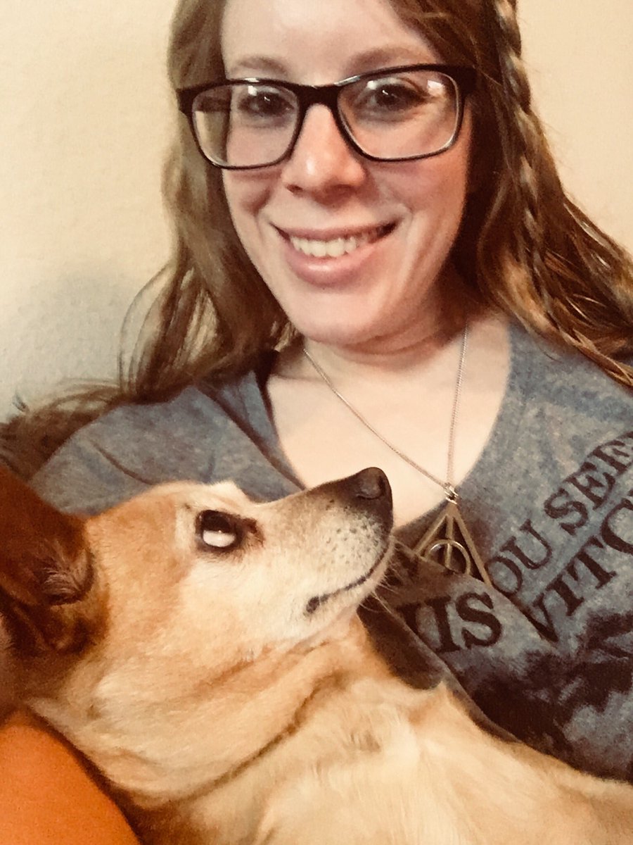 Fuzzydice108's tweet photo. Dobby can’t look at the phone camera like a normal dog. https://t.co/OIjAc6r6tr