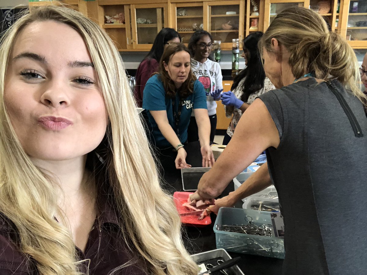 rizzo_kathryn's tweet photo. Banner Hawks is now trained to do simple interrupted stitches 🧵 🏥 #riseandsoar #suturepractice @Highland_Hawks #weramazing #erincollinsforprez https://t.co/MxLq1vqORW