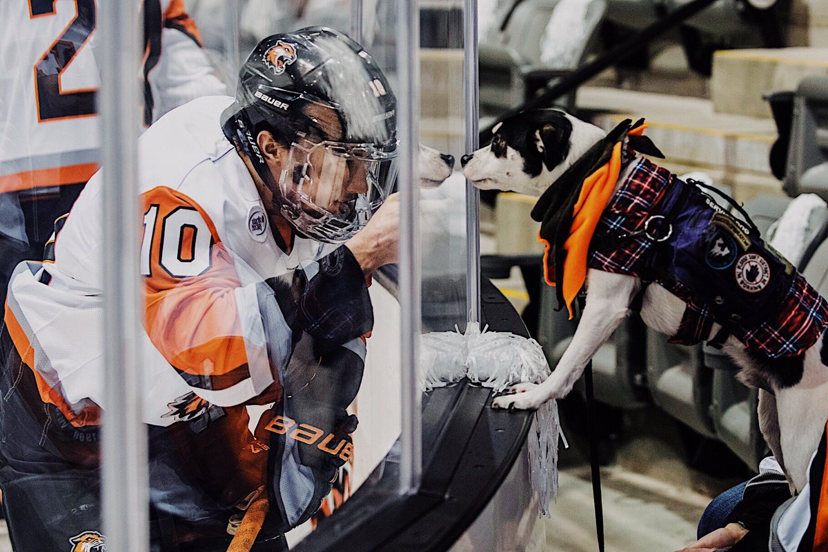 Ok so this is the cutest thing we have ever seen. 😍😍😍

How many RTs can we get for this good boy? Twitter, do your thing.