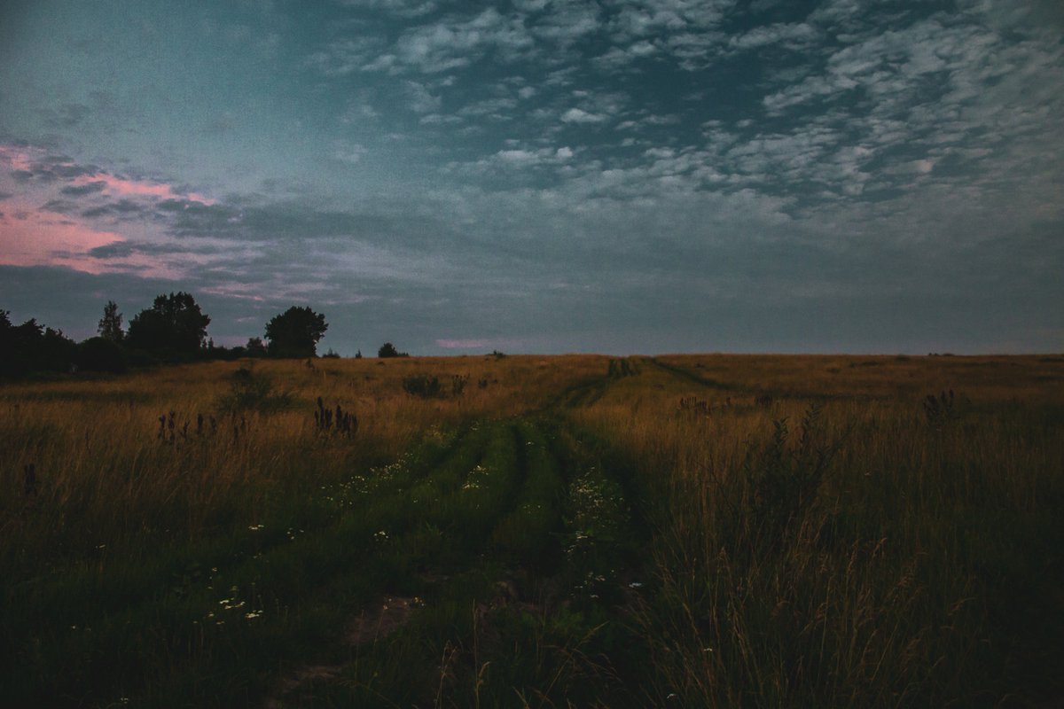 kozhushman's tweet photo. Я наконец собрался с силами и завел паблос со своими фотками
Читает меня, конечно, полтора человека - но вдруг кому будет интересно:
https://t.co/S7telI41s5
https://t.co/qvVWVCd4wL
https://t.co/s80qchcMJe

Приложу пару фоток как образец https://t.co/mCOG2YnRtF