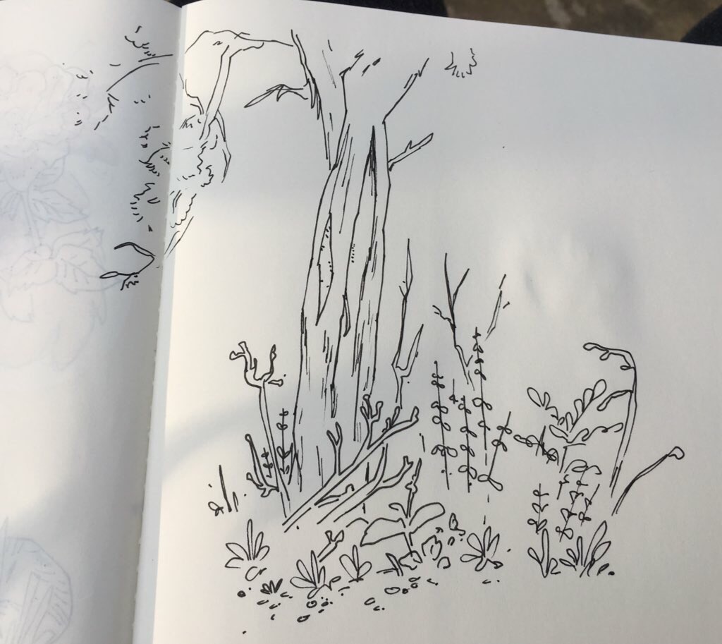 GREAT afternoon at the park 