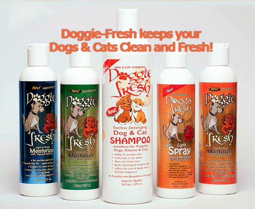 infodoggiefresh's tweet photo. https://t.co/GUliY2clqm fresh clean maintenance products with natural ingredients to keep dogs and cats healthy. Ready for delivery, 24/7 shipping. https://t.co/pUP08HqA0A