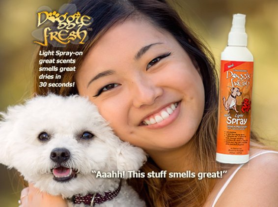 infodoggiefresh's tweet photo. https://t.co/GUliY2clqm fresh clean maintenance products with natural ingredients to keep dogs lab lovers healthy. Large orders ready for delivery, 24/7 shipping. https://t.co/aOt6KRYHm1