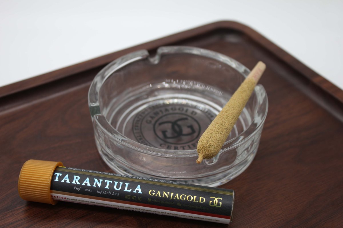 Kick back and enjoying Tarantula Tuesday 
#ganjagold #tarantulatuesday #tarantula #infusedpreroll #preroll #cannabis #marijuana #california 
GanjaGold™️ is a manufacturer of cannabis products, License # CDPH- T00001197 legally manufactured in CA. For adults 21+, not for sale