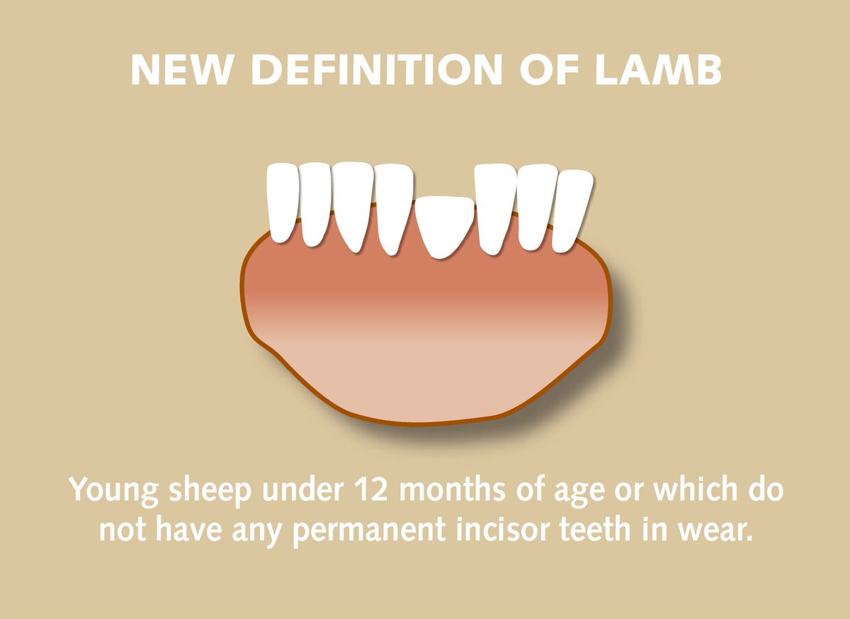 New financial year, new lamb definition!

The new Aust definition of lamb starts on July 1 - see the full update at bit.ly/2MRn1U3